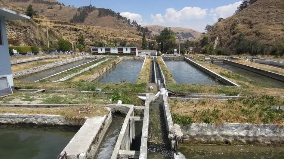 Piscigranjas en Ingenio