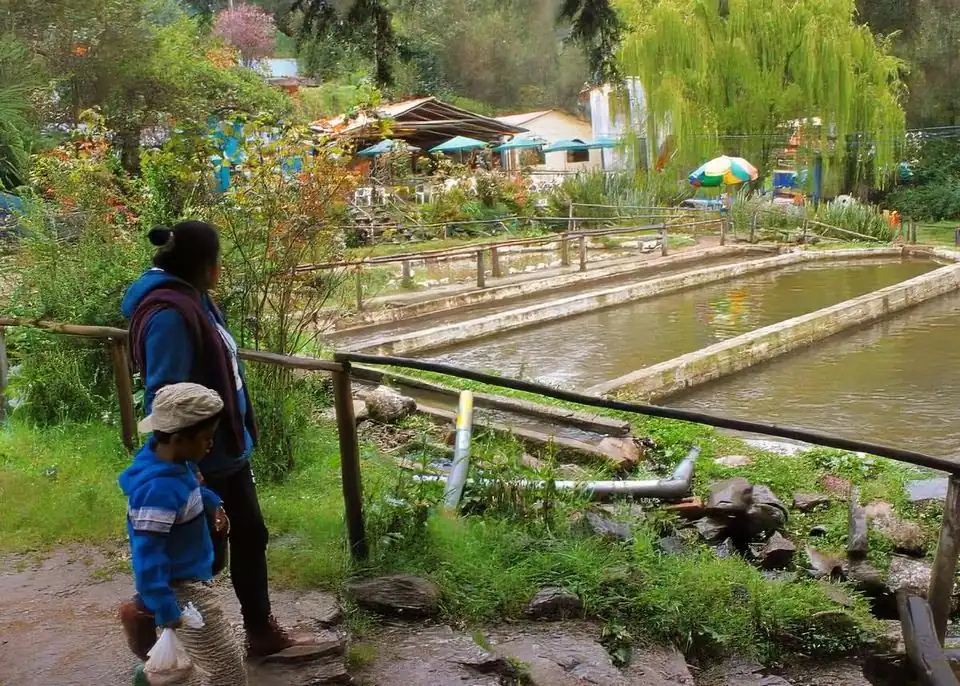 Piscigranja de Miraflores Huancayo